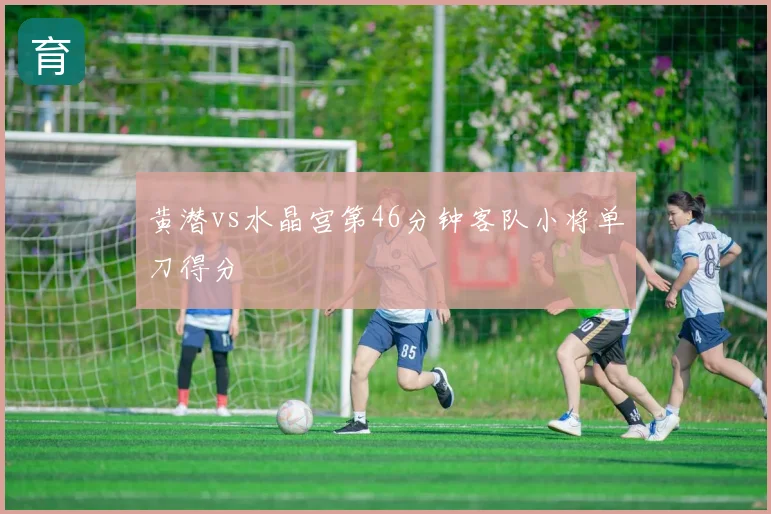 黄潜vs水晶宫第46分钟客队小将单刀得分